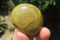 Polished Green Opal Palm Stones x 20 From Madagascar