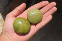 Polished Green Opal Palm Stones x 20 From Madagascar