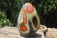 Polished Polychrome Jasper Standing Free Form x 1 From Madagascar