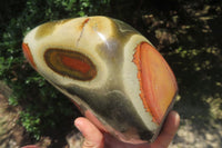 Polished Polychrome Jasper Standing Free Form x 1 From Madagascar