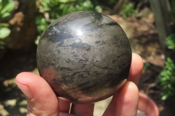 Polished Pharaoh Stone Spheres x 2 From Zimbabwe