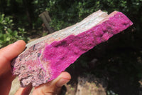 Natural Salrose Cobaltion Dolomite Specimens x 5 From Kakanda, Congo