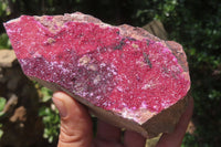 Natural Salrose Cobaltion Dolomite Specimens x 5 From Kakanda, Congo