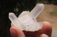 Natural Clear Quartz Clusters x 63 From Madagascar