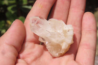 Natural Clear Quartz Clusters x 63 From Madagascar