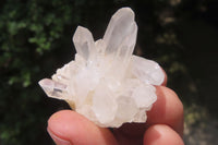 Natural Clear Quartz Clusters x 63 From Madagascar