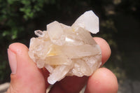 Natural Clear Quartz Clusters x 63 From Madagascar