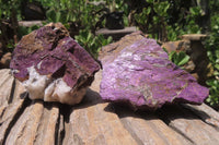 Natural Metallic Purpurite Cobbed Specimens x 6 From Erongo, Namibia