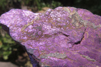 Natural Metallic Purpurite Cobbed Specimens x 6 From Erongo, Namibia