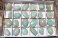 Polished Amazonite Free Forms x 24 From Zimbabwe