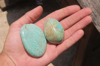 Polished Amazonite Free Forms x 24 From Zimbabwe