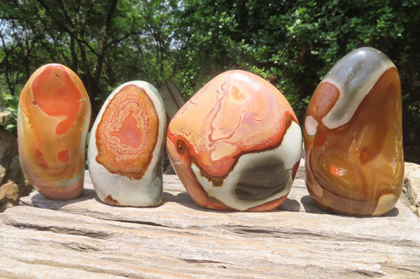 Polished Polychrome Jasper Standing Free Forms x 4 From Mahajanga, Madagascar