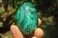 Polished Large Solid Flower Banded Malachite Gemstone Eggs - Sold Per Item - From Congo