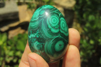 Polished Large Solid Flower Banded Malachite Gemstone Eggs - Sold Per Item - From Congo