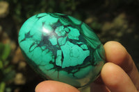 Polished Large Solid Flower Banded Malachite Gemstone Eggs - Sold Per Item - From Congo