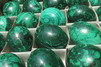 Polished Large Solid Flower Banded Malachite Gemstone Eggs - Sold Per Item - From Congo