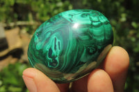 Polished Large Solid Flower Banded Malachite Gemstone Eggs - Sold Per Item - From Congo