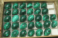 Polished Large Solid Flower Banded Malachite Gemstone Eggs - Sold Per Item - From Congo