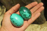 Polished Large Solid Flower Banded Malachite Gemstone Eggs - Sold Per Item - From Congo