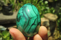 Polished Large Solid Flower Banded Malachite Gemstone Eggs - Sold Per Item - From Congo