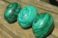 Polished Large Solid Flower Banded Malachite Gemstone Eggs - Sold Per Item - From Congo