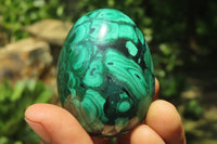 Polished Large Solid Flower Banded Malachite Gemstone Eggs - Sold Per Item - From Congo