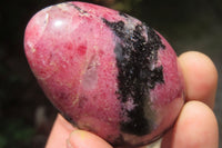 Polished Rhodonite Gemstone Eggs x 6 From Madagascar