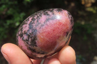 Polished Rhodonite Gemstone Eggs x 6 From Madagascar