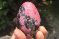 Polished Rhodonite Gemstone Eggs x 6 From Madagascar