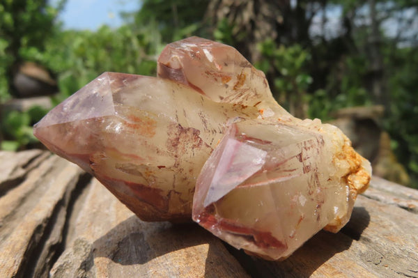 Natural Red Hematoid Quartz Clusters x 6 From Karoi, Zimbabwe