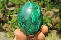 Polished Flower Banded Malachite Gemstone Eggs x 5 From Congo