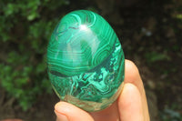 Polished Flower Banded Malachite Gemstone Eggs x 5 From Congo