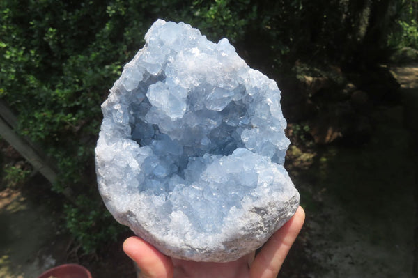 Natural Celestite Geode Specimen x 1 From Sakoany, Madagascar