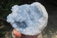 Natural Celestite Geode Specimen x 1 From Sakoany, Madagascar