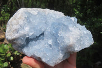 Natural Celestite Geode Specimen x 1 From Sakoany, Madagascar