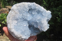 Natural Celestite Geode Specimen x 1 From Sakoany, Madagascar