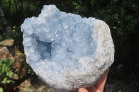 Natural Celestite Geode Specimen x 1 From Sakoany, Madagascar