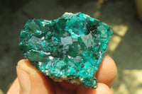 Natural Dioptase On Dolomite Specimens x 6 From Likasi, Congo