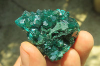 Natural Dioptase On Dolomite Specimens x 6 From Likasi, Congo