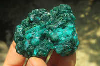 Natural Dioptase On Dolomite Specimens x 6 From Likasi, Congo