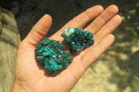 Natural Dioptase On Dolomite Specimens x 6 From Likasi, Congo