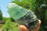 Natural Watermelon Fluorite Specimens x 5 From Namibia