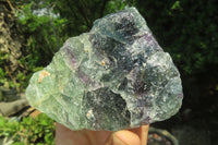 Natural Watermelon Fluorite Specimens x 5 From Namibia