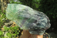 Natural Watermelon Fluorite Specimens x 5 From Namibia