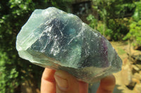 Natural Watermelon Fluorite Specimens x 5 From Namibia