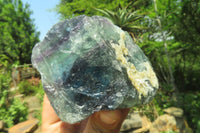 Natural Watermelon Fluorite Specimens x 5 From Namibia