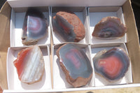 Polished On One Side Red Sashe River Agate Nodules x 6 From Zimbabwe