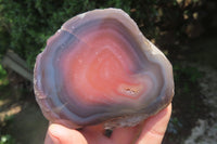 Polished On One Side Red Sashe River Agate Nodules x 6 From Zimbabwe