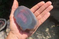 Polished On One Side Red Sashe River Agate Nodules x 6 From Zimbabwe