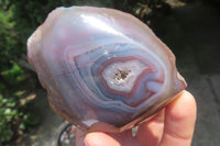 Polished On One Side Red Sashe River Agate Nodules x 6 From Zimbabwe